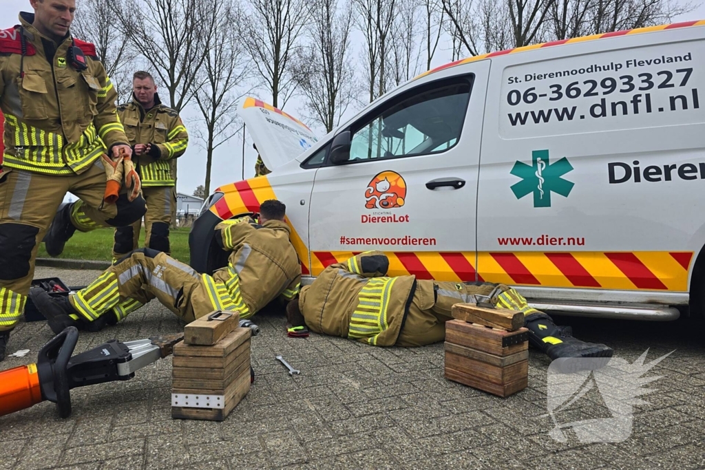 Onverwachte reddingsactie voor gewonde kat