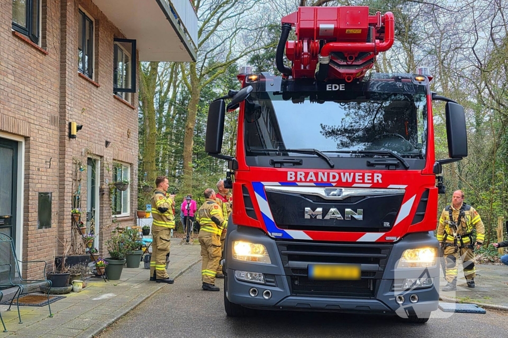 Kat Zorra eigenwijs en klimt verder in boom, brandweer in actie