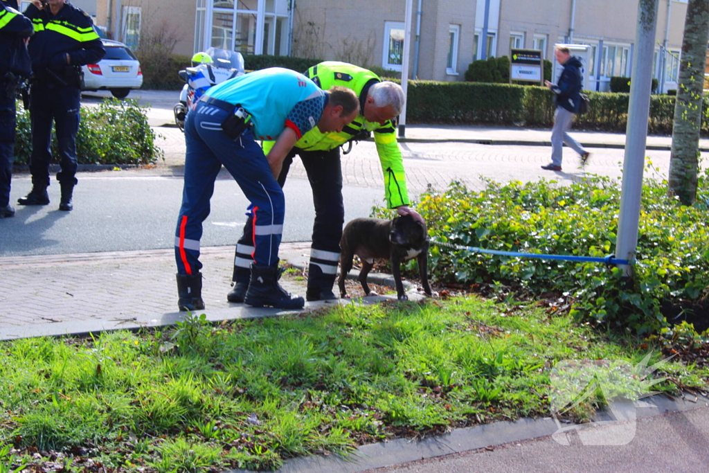 Voetganger komt in botsing met personenauto