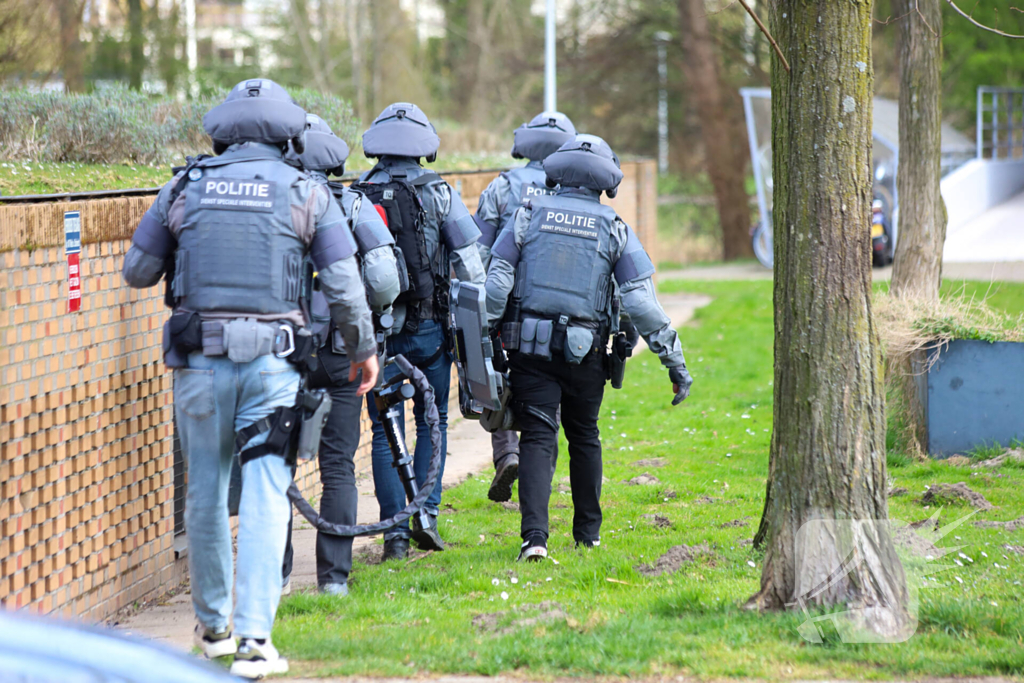 Waarschuwingsschoten gelost bij arrestatie