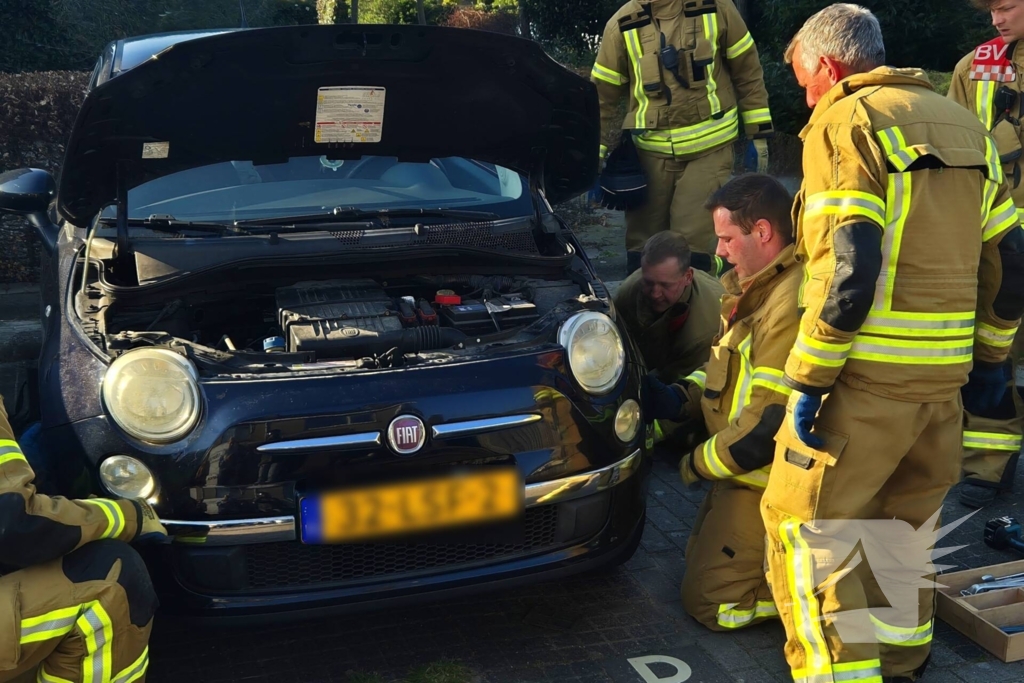 Brandweer bevrijdt kat uit motorkap