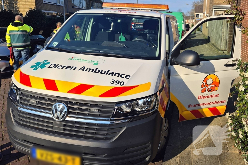 Brandweer bevrijdt kat uit motorkap