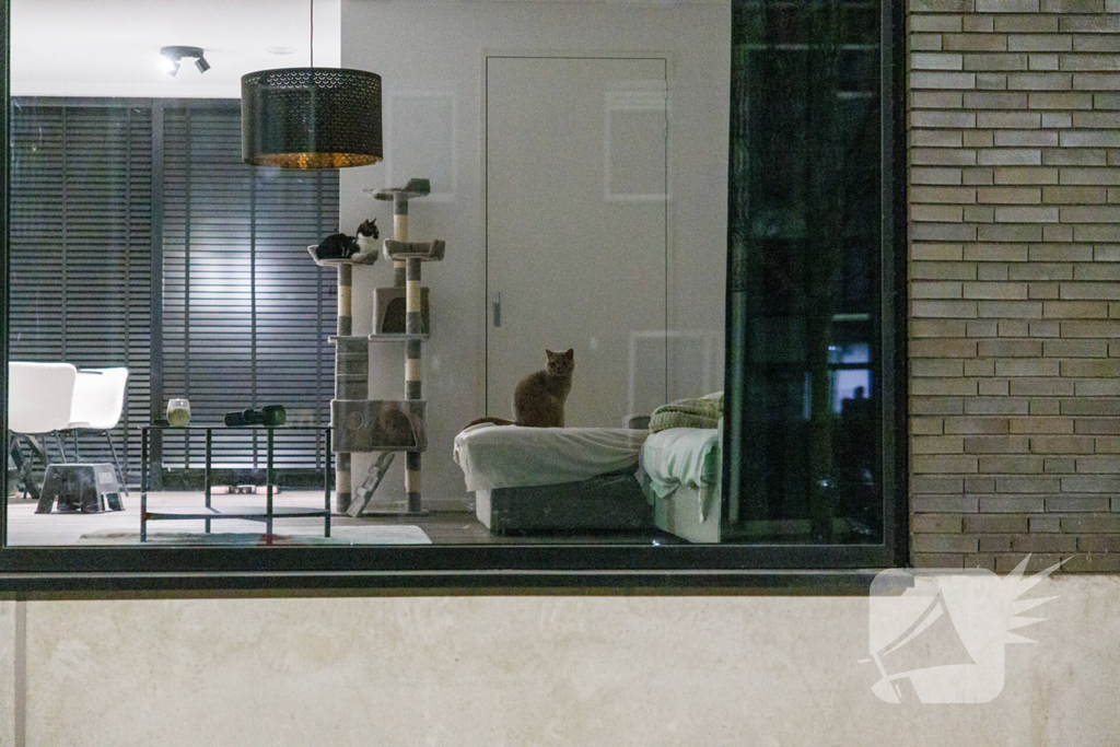 Deurbelbeelden leggen explosie vast