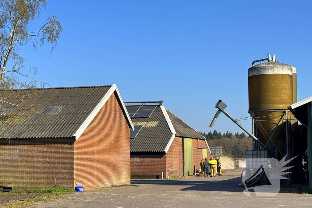 Brandweer ingezet voor dier in nood