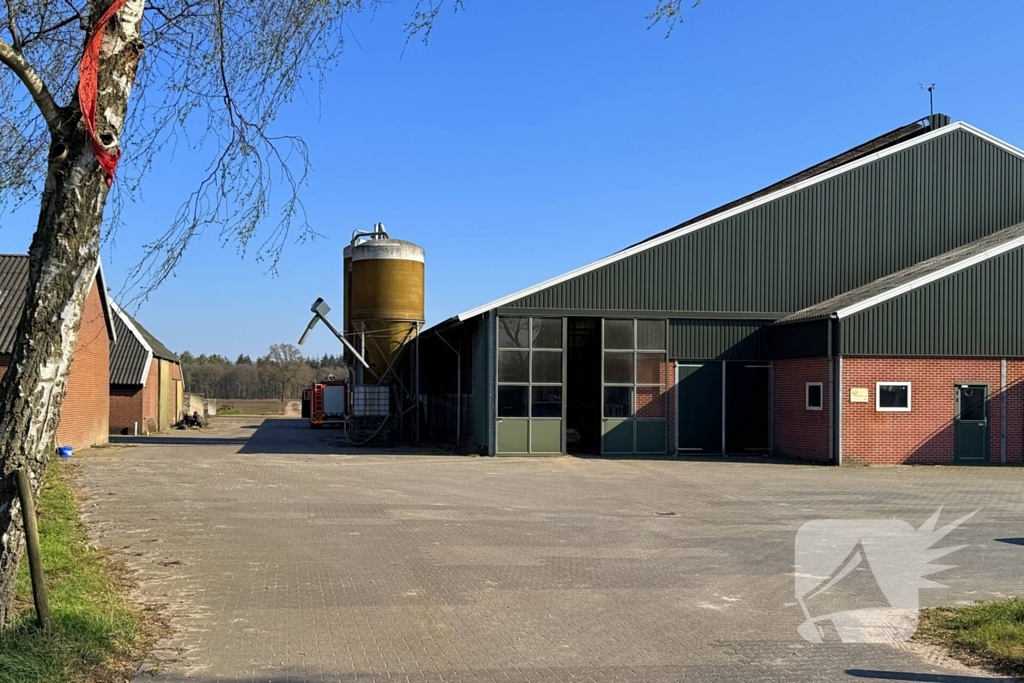 Brandweer ingezet voor dier in nood