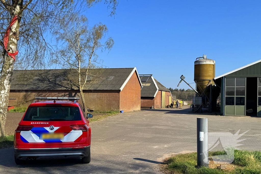 Brandweer ingezet voor dier in nood