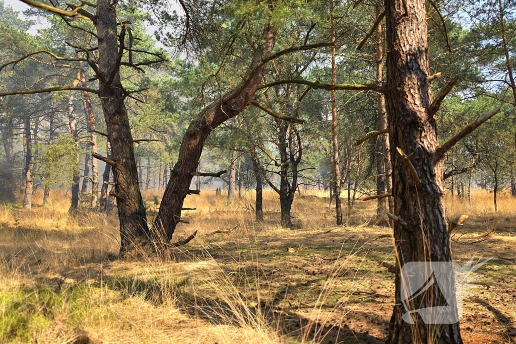 NL-alert voor brand in heidegebied