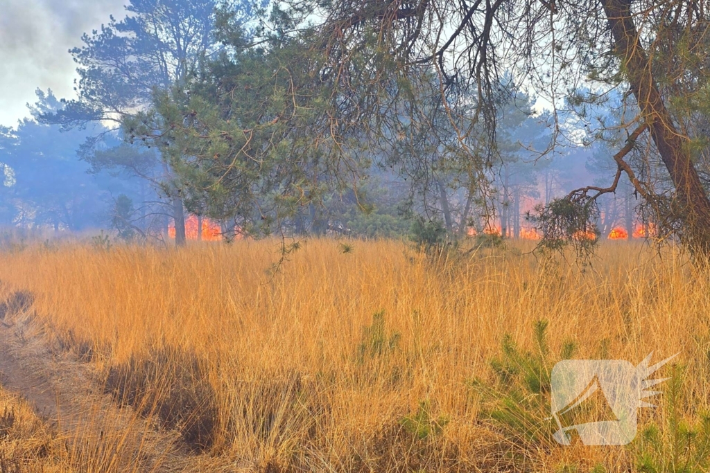 NL-alert voor brand in heidegebied