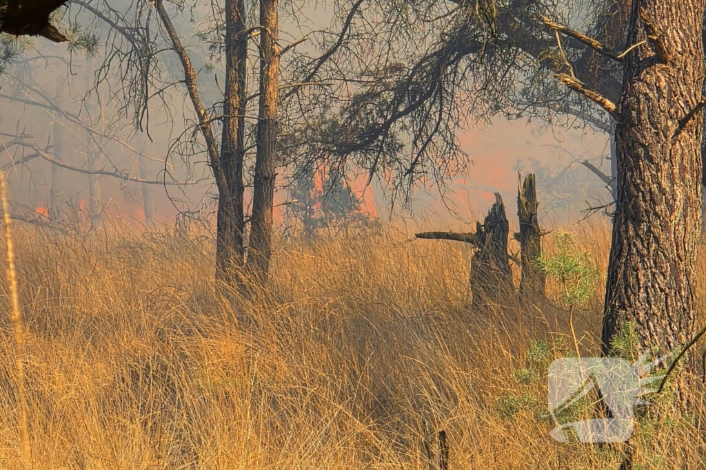 NL-alert voor brand in heidegebied