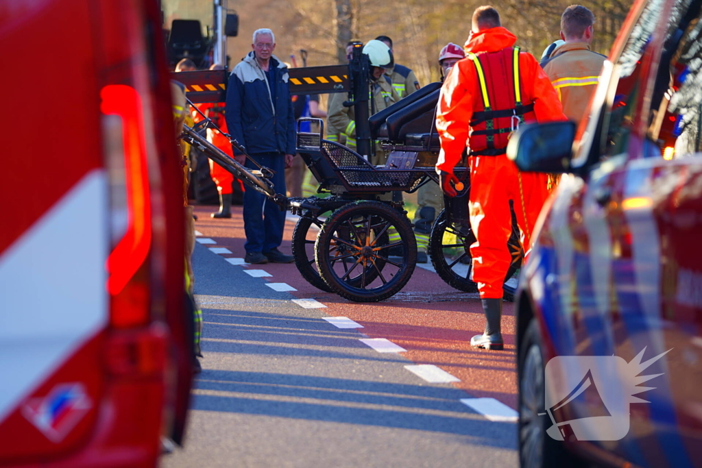 Paard raakt met rijtuig te water