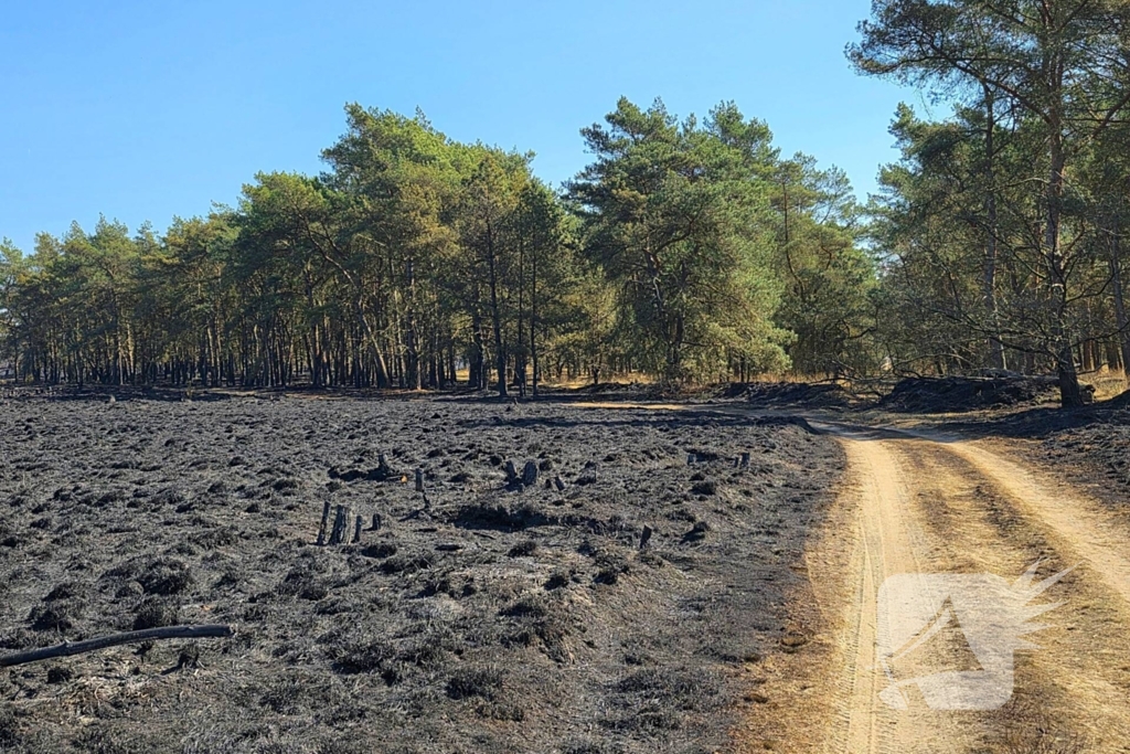 Day after; grote schade na enorme natuurbrand