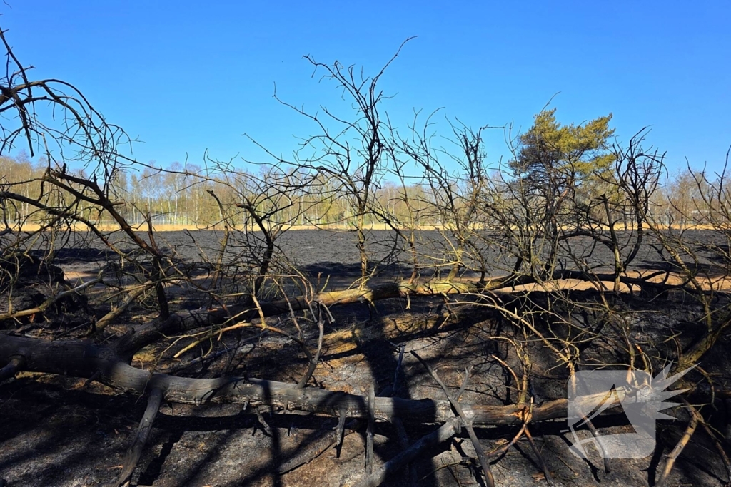 Day after; grote schade na enorme natuurbrand
