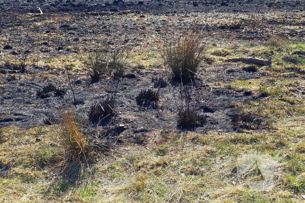 Day after; grote schade na enorme natuurbrand