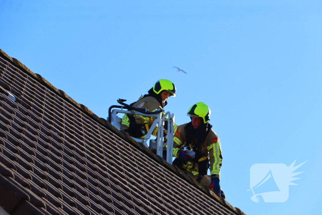 Huisdier in de problemen: brandweer komt in actie