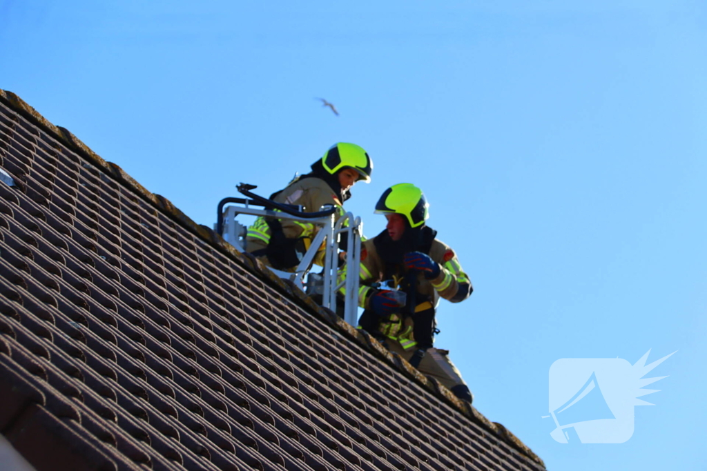 Huisdier in de problemen: brandweer komt in actie