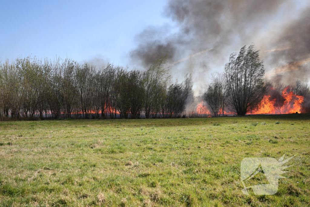 Grote natuurbrand uitgebroken in Doncksebos