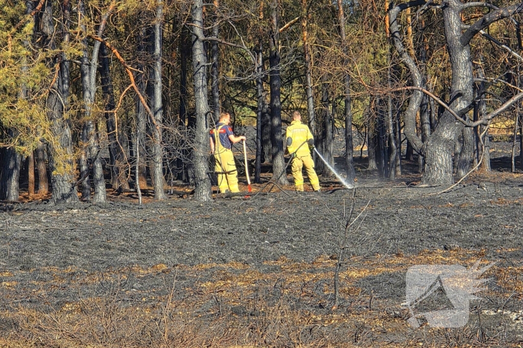 Brandweer blust smeulende resten in afgebrande heidegebied