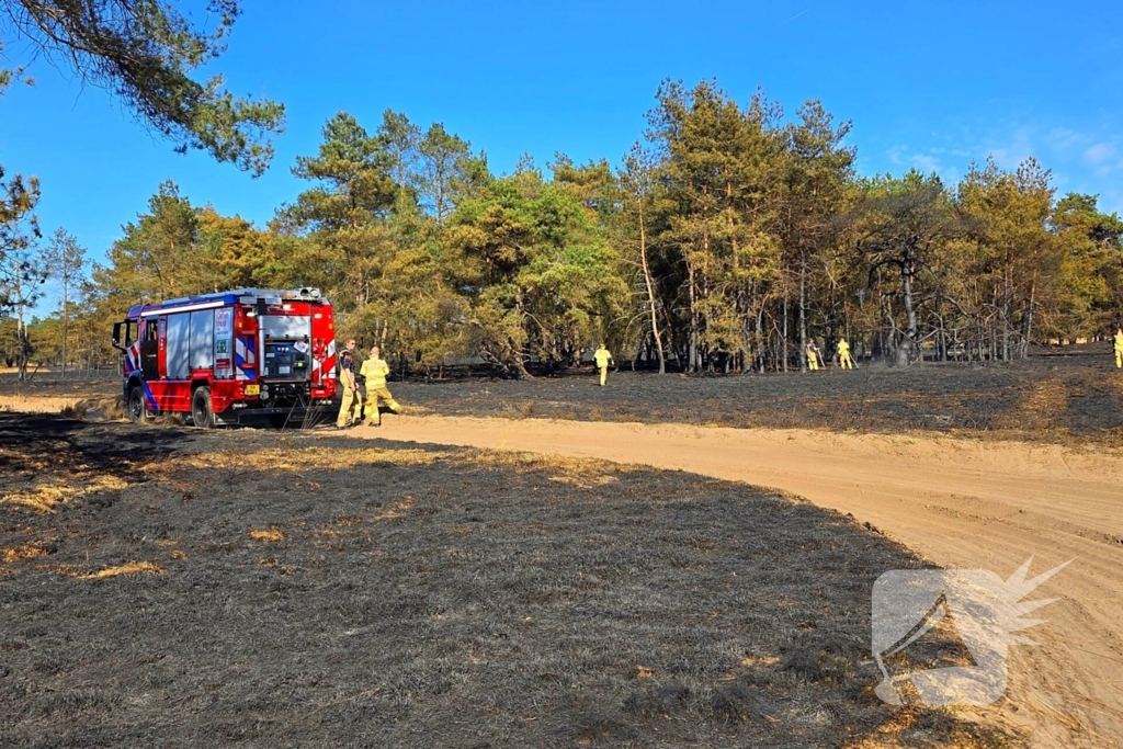 Brandweer blust smeulende resten in afgebrande heidegebied