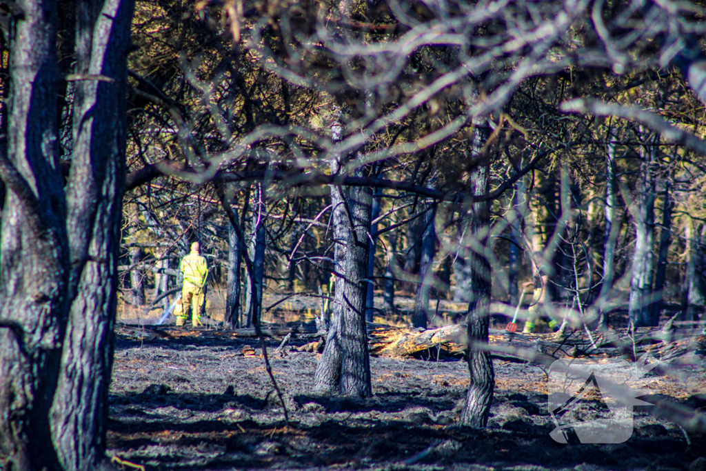 Brandweer blust smeulende resten in afgebrande heidegebied