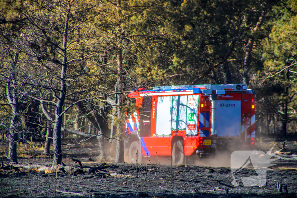 Brandweer blust smeulende resten in afgebrande heidegebied