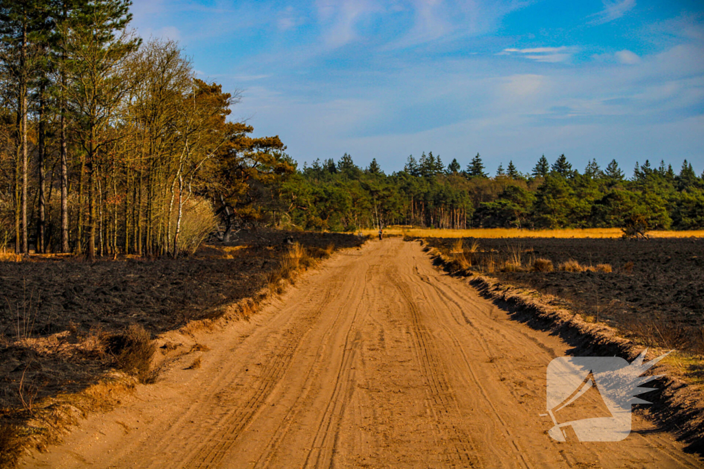 Brandweer blust smeulende resten in afgebrande heidegebied