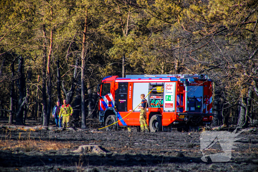 Brandweer blust smeulende resten in afgebrande heidegebied