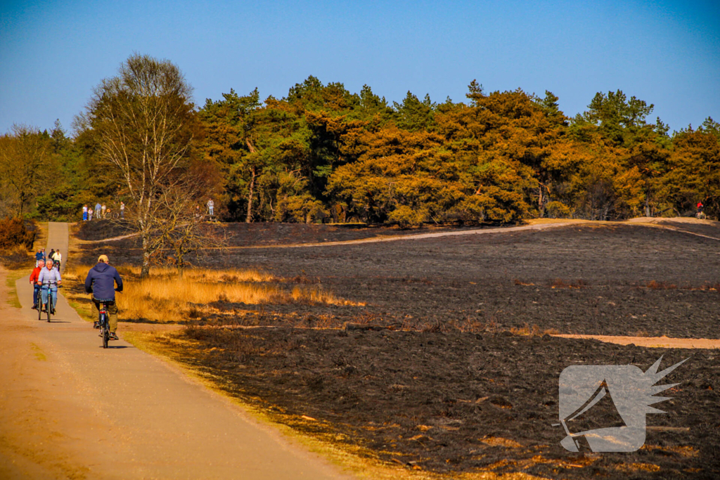 Brandweer blust smeulende resten in afgebrande heidegebied