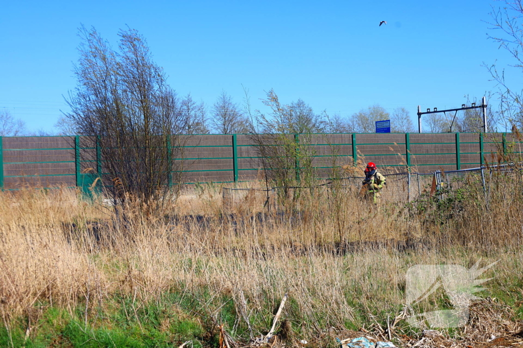 Brand in riet geblust door brandweer