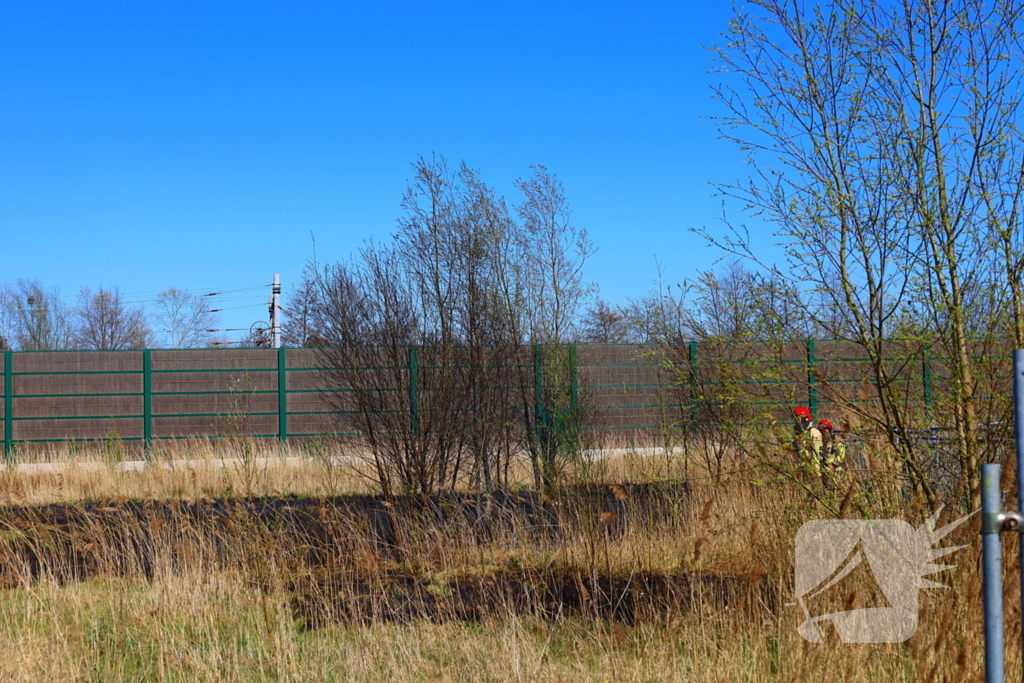 Brand in riet geblust door brandweer