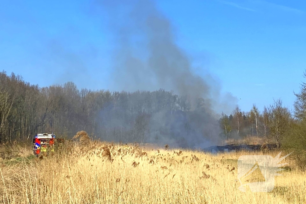 Veel rookontwikkeling bij brand in rietkraag