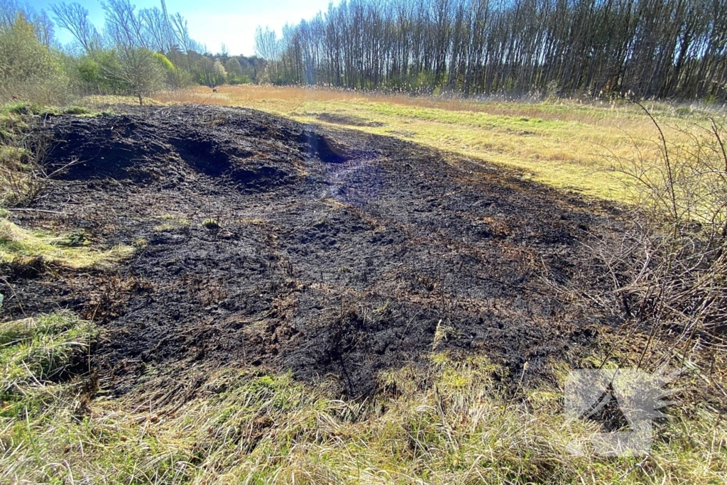 Veel rookontwikkeling bij brand in rietkraag