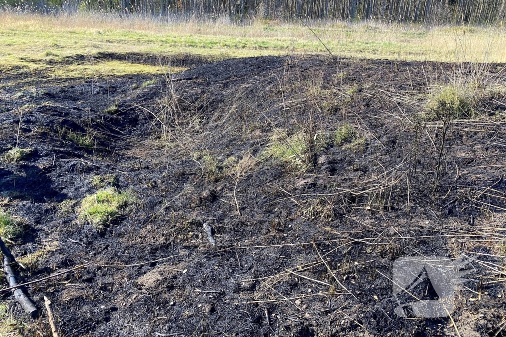 Veel rookontwikkeling bij brand in rietkraag