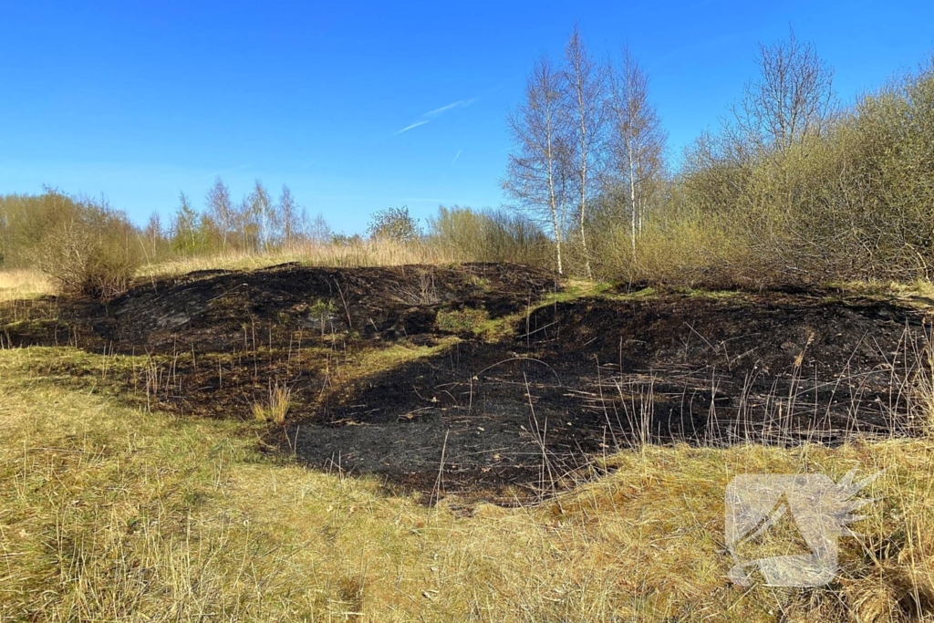 Veel rookontwikkeling bij brand in rietkraag