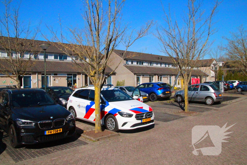 Overvallers verkleed als postbezorger mishandelen vrouw en gaan ervandoor met onbekende buit