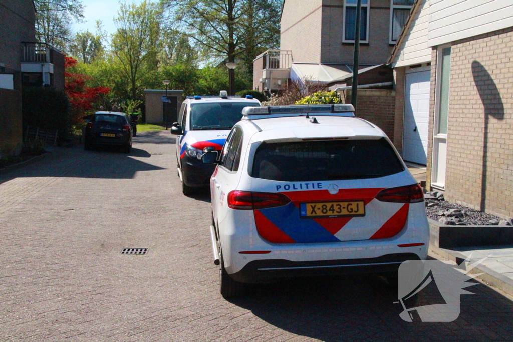 Overvallers verkleed als postbezorger mishandelen vrouw en gaan ervandoor met onbekende buit