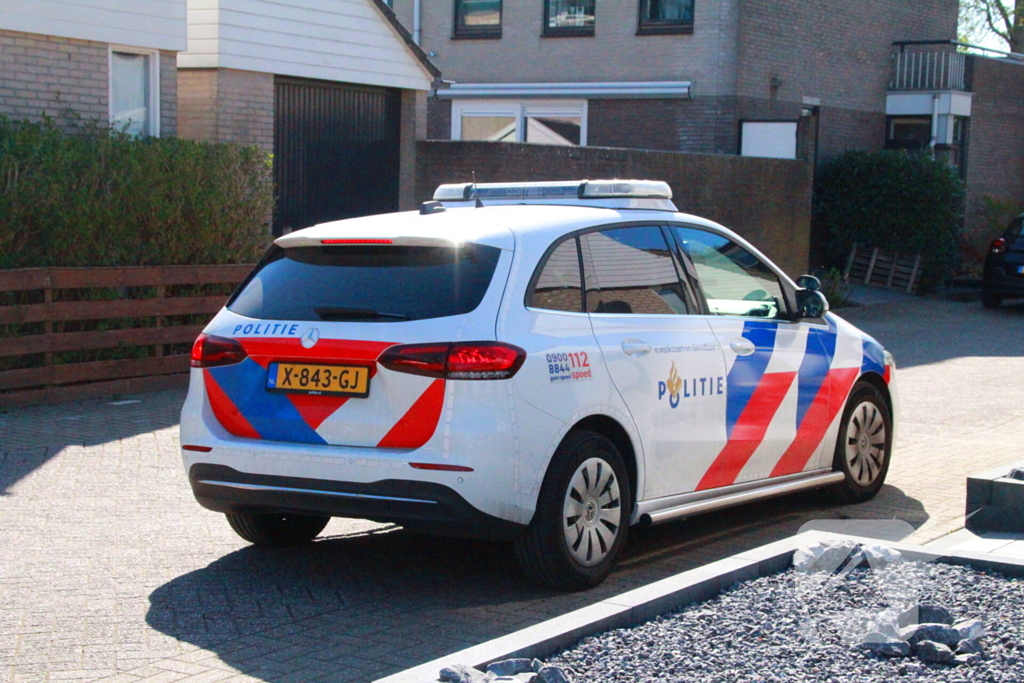 Overvallers verkleed als postbezorger mishandelen vrouw en gaan ervandoor met onbekende buit