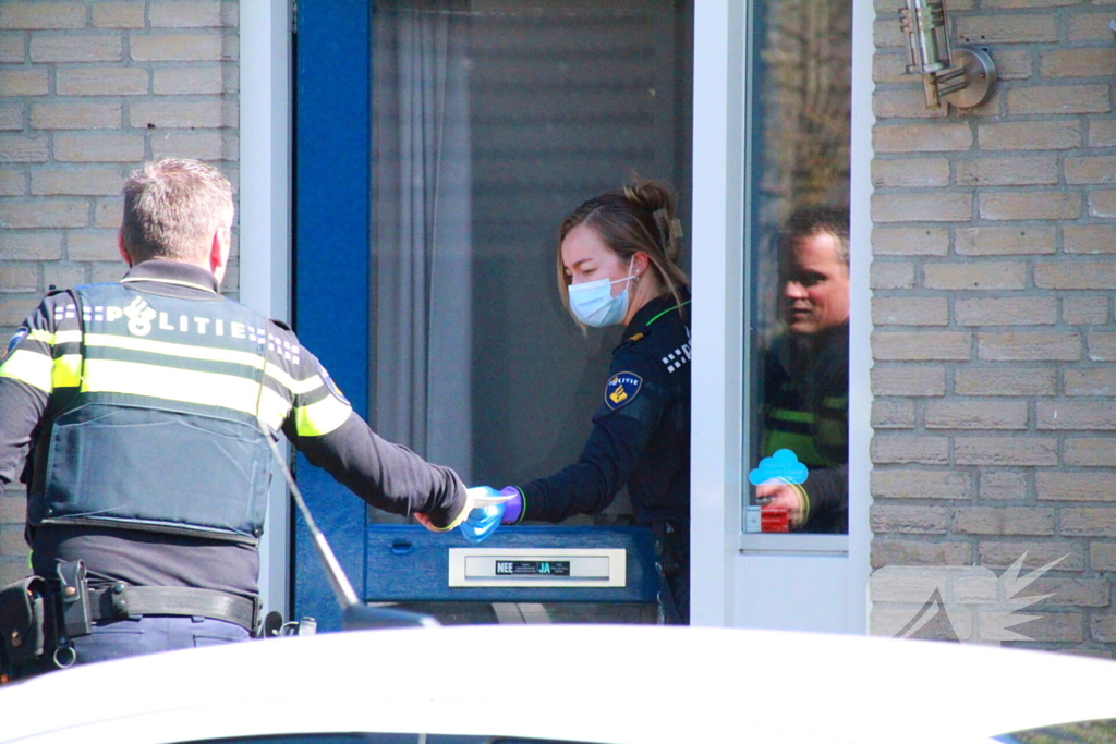 Overvallers verkleed als postbezorger mishandelen vrouw en gaan ervandoor met onbekende buit