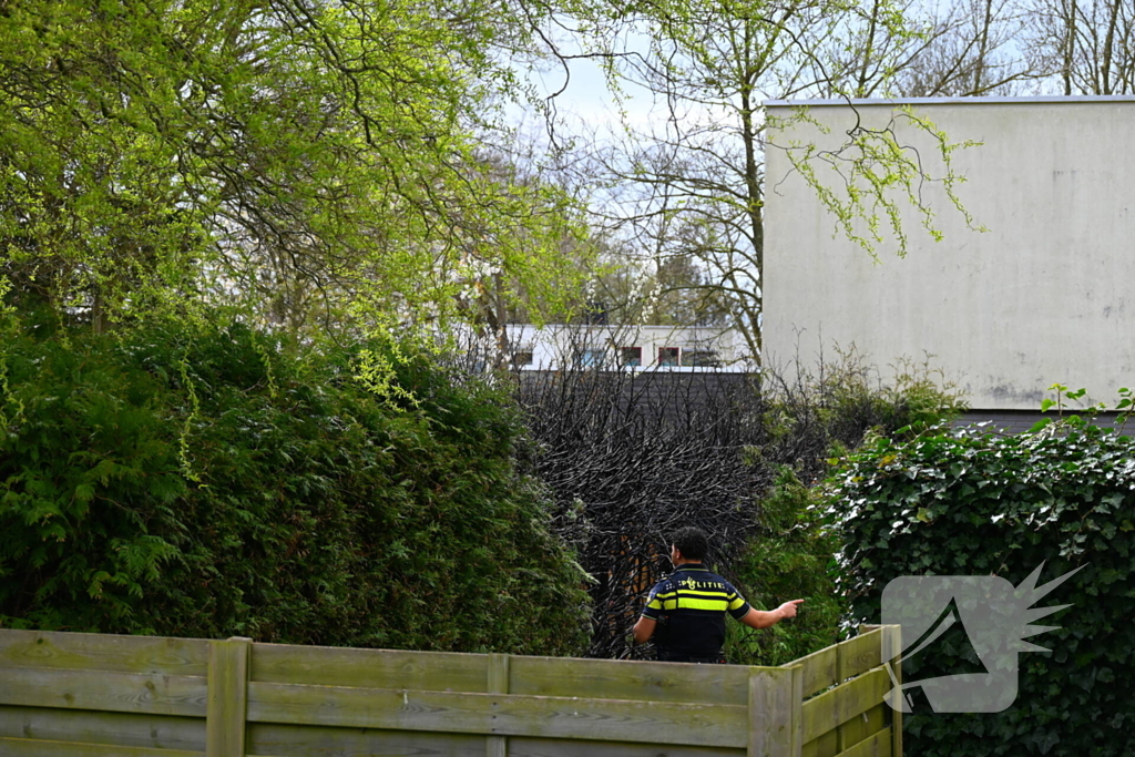 Brand in coniferenhaag snel onder controle