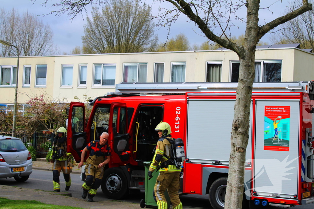 Brand in coniferenhaag snel onder controle