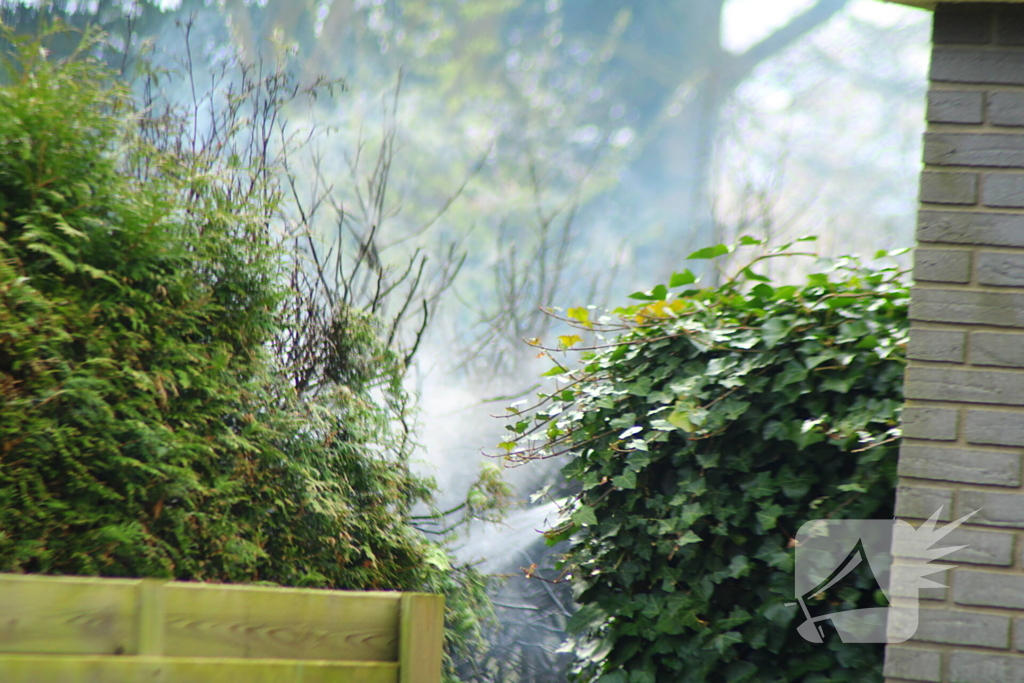 Brand in coniferenhaag snel onder controle