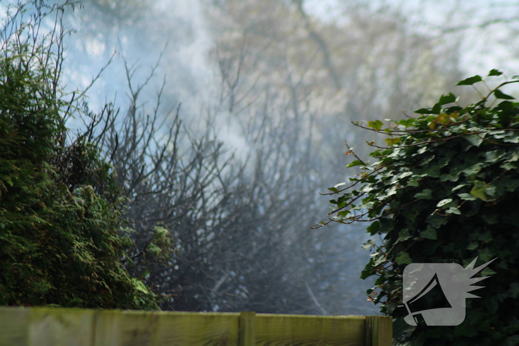 Brand in coniferenhaag snel onder controle