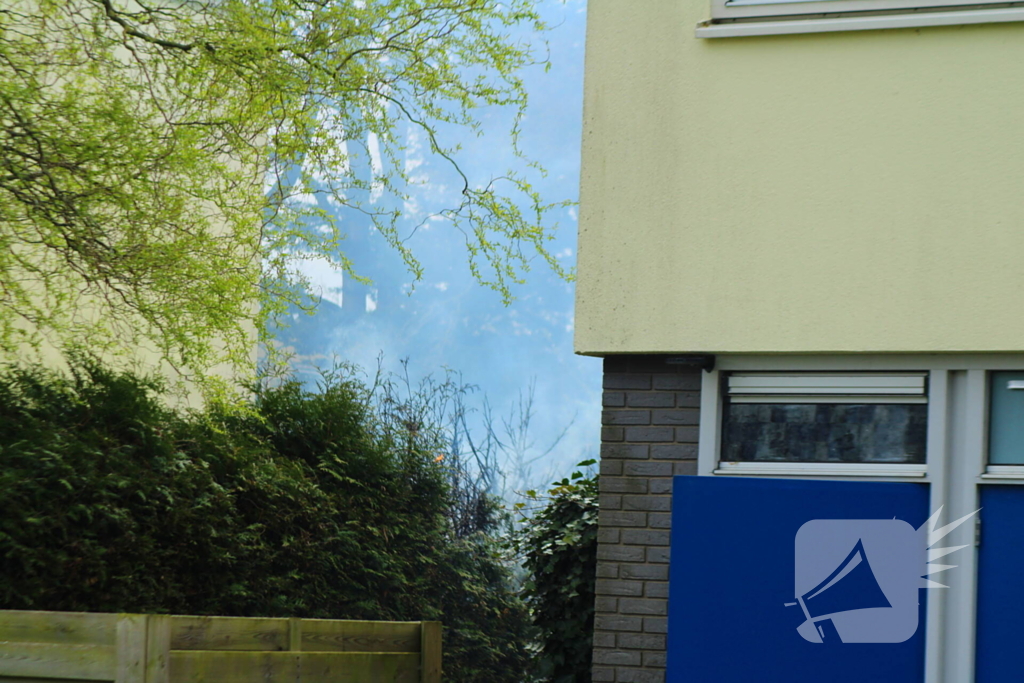 Brand in coniferenhaag snel onder controle