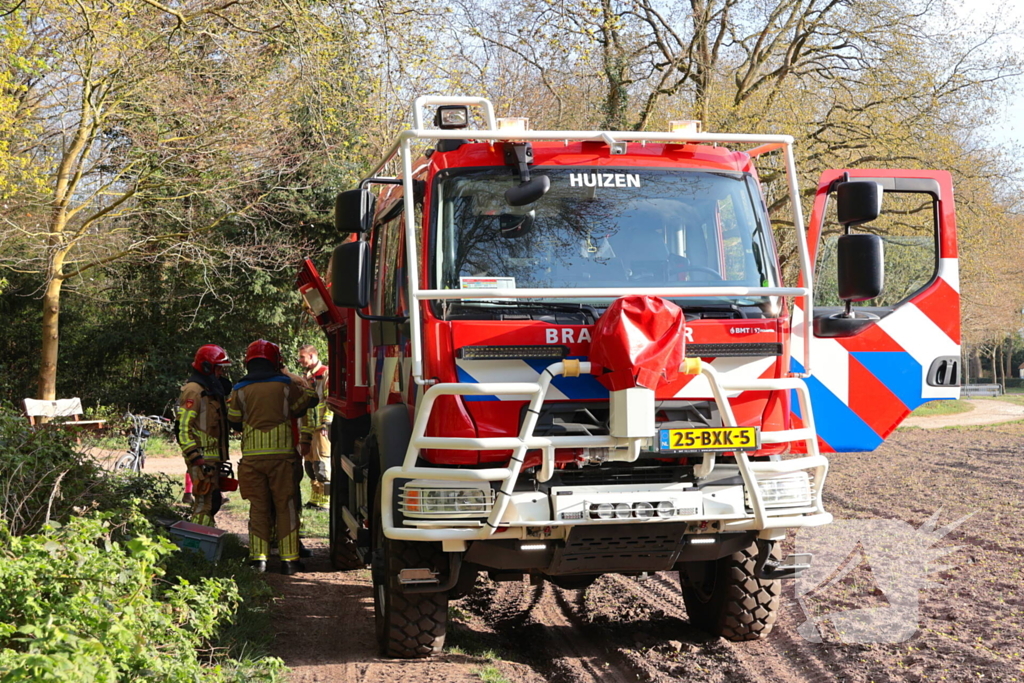 Boom in brand in het bos