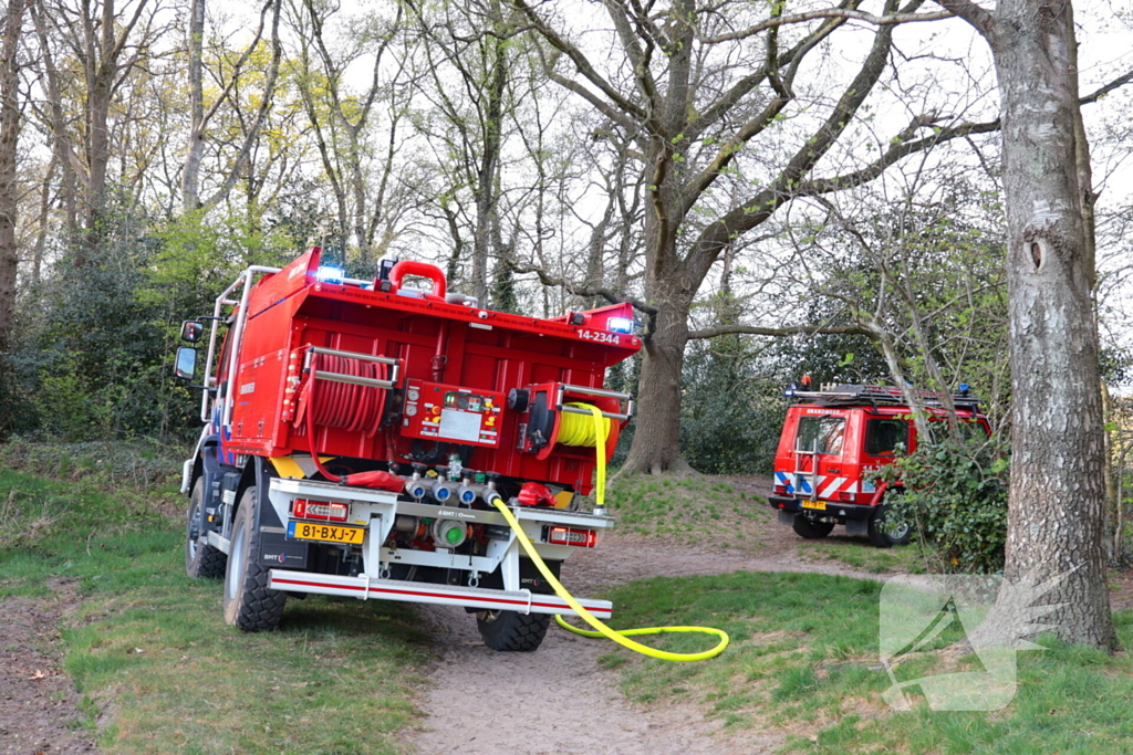 Boom in brand in het bos