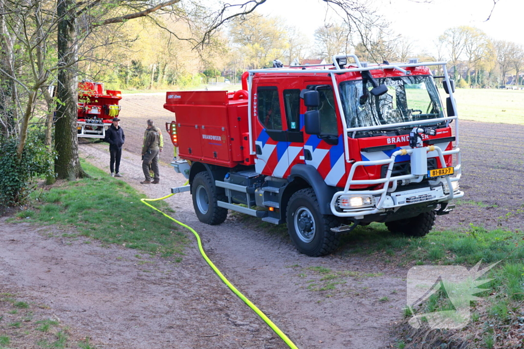 Boom in brand in het bos