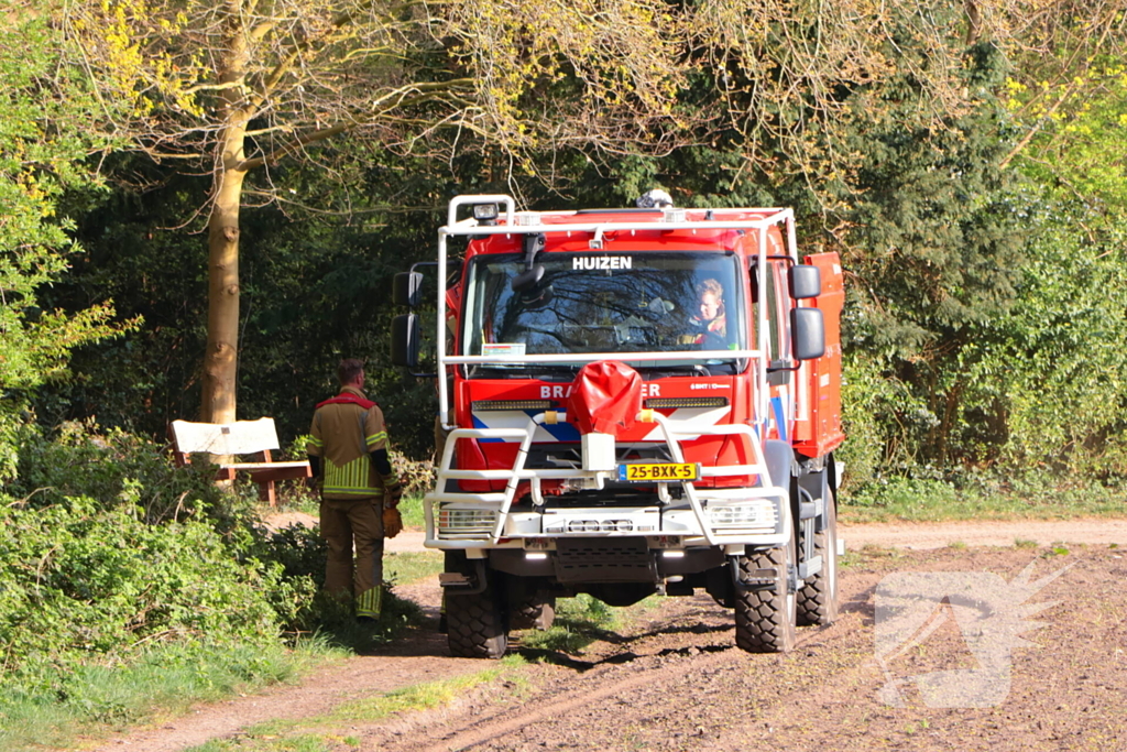 Boom in brand in het bos