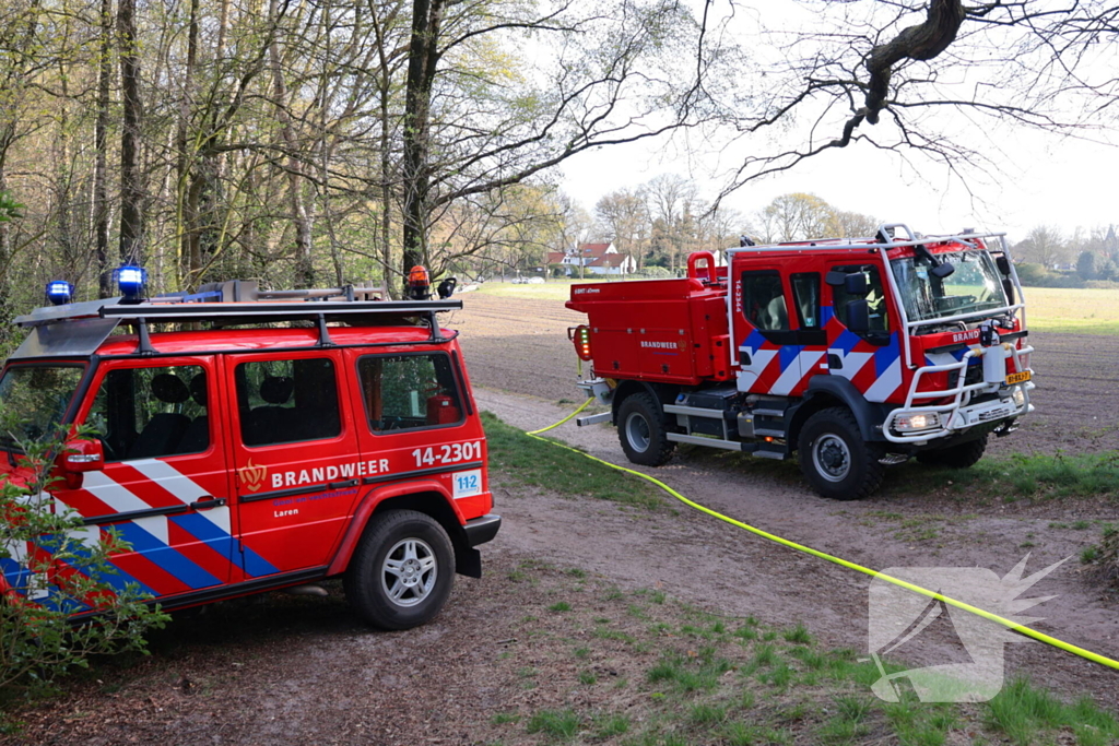 Boom in brand in het bos