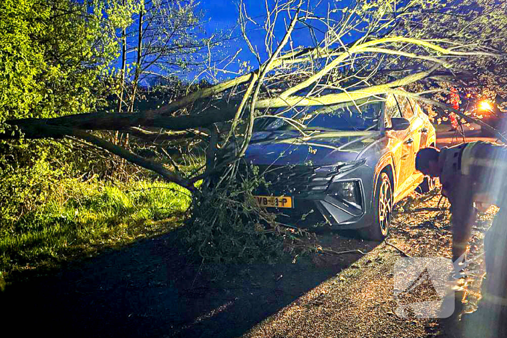 Omgevallen boom raakt auto