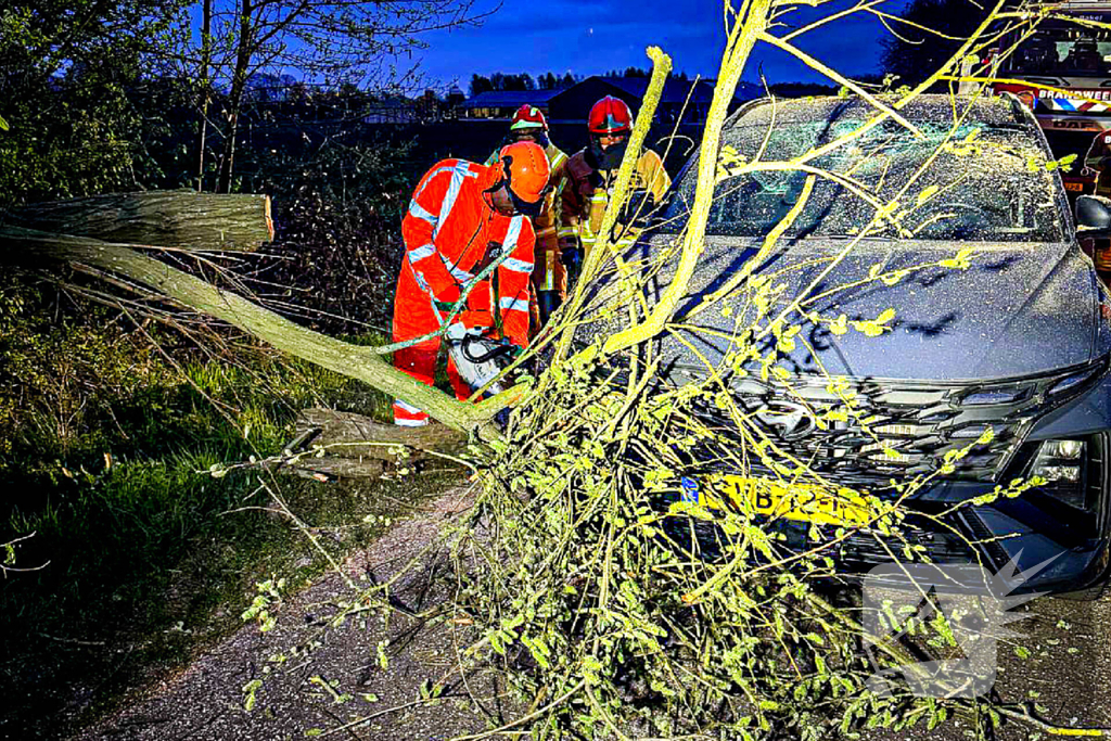 Omgevallen boom raakt auto