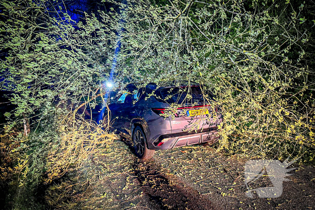 Omgevallen boom raakt auto